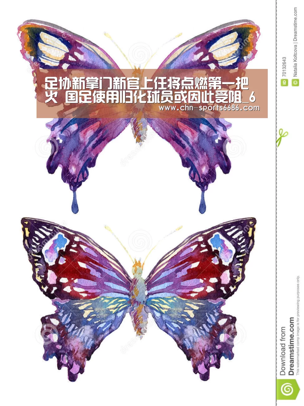 足协新掌门新官上任将点燃第一把火 国足使用归化球员或因此受阻_6686体育(图2) 6686体育